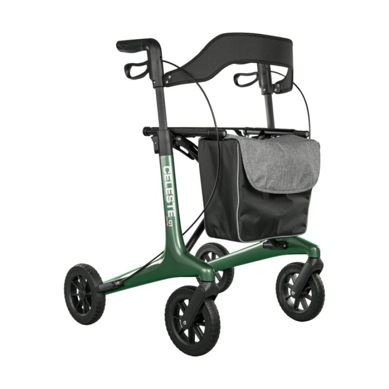 e-Ability Celeste